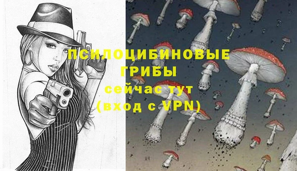 a pvp Алексин