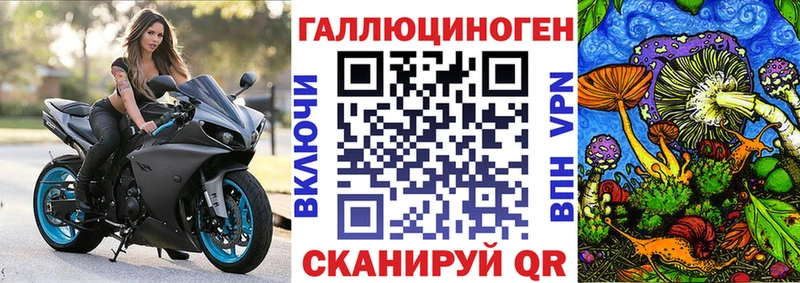 Псилоцибиновые грибы Magic Shrooms  darknet какой сайт  Каргат 