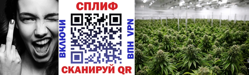Бошки Шишки OG Kush Каргат